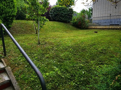 lawn